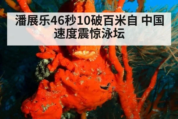 潘展乐46秒10破百米自 中国速度震惊泳坛